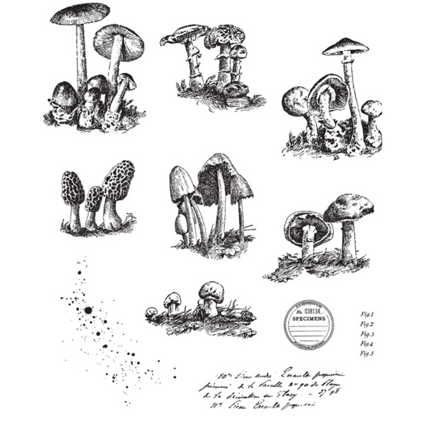 Tiny Toadstools Cling Stamp Set | Tim Holtz