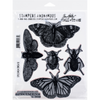Specimen Cling Stamps | Tim Holtz