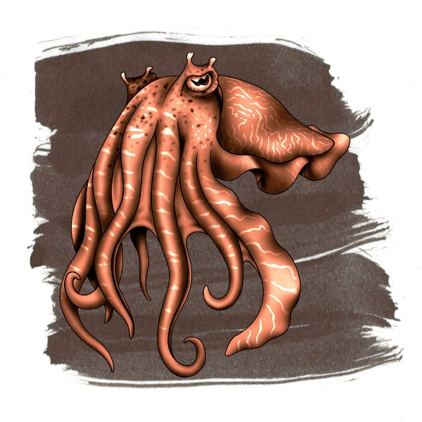 Cuttlefish Brown Ink