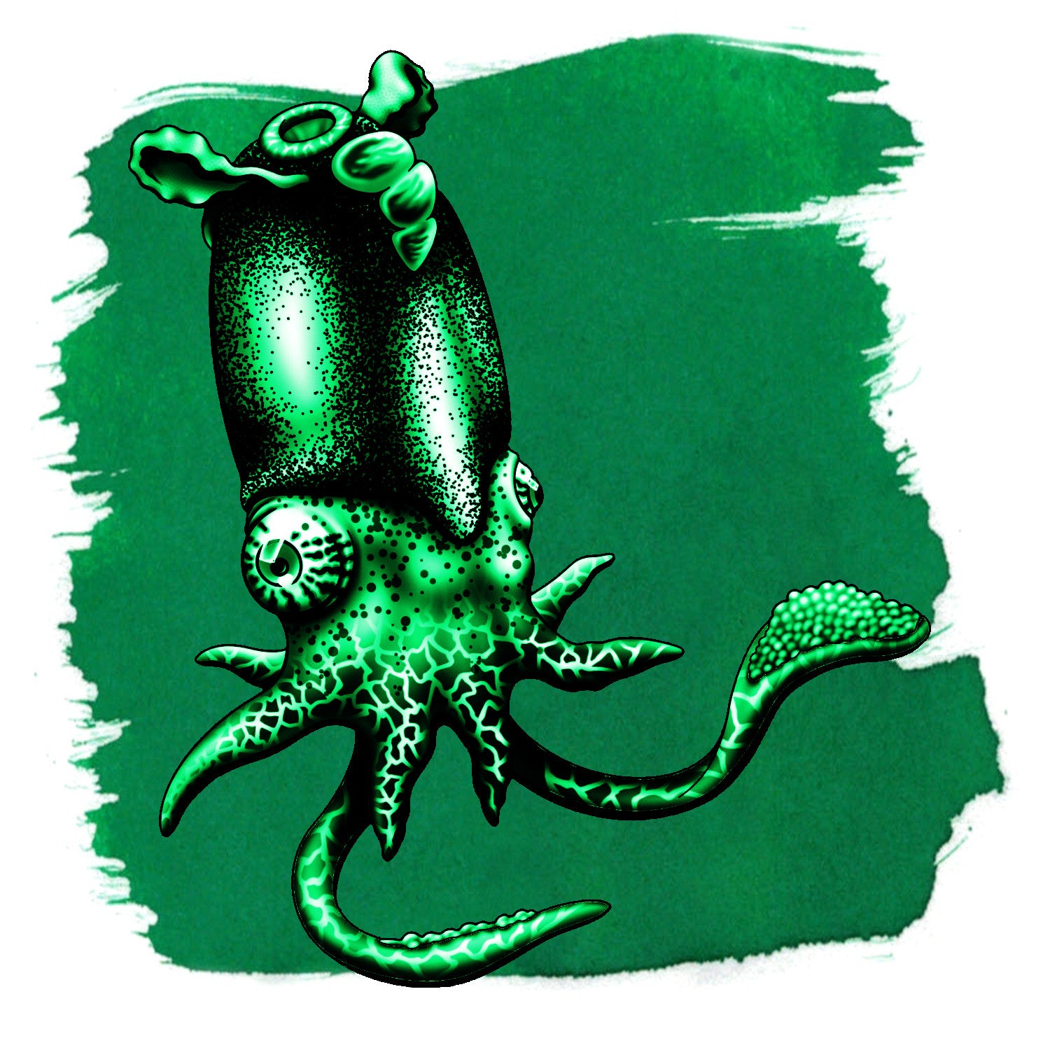 Encre verte Spirula