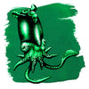 Encre verte Spirula