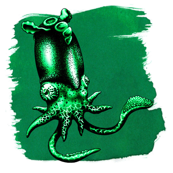 Encre verte Spirula