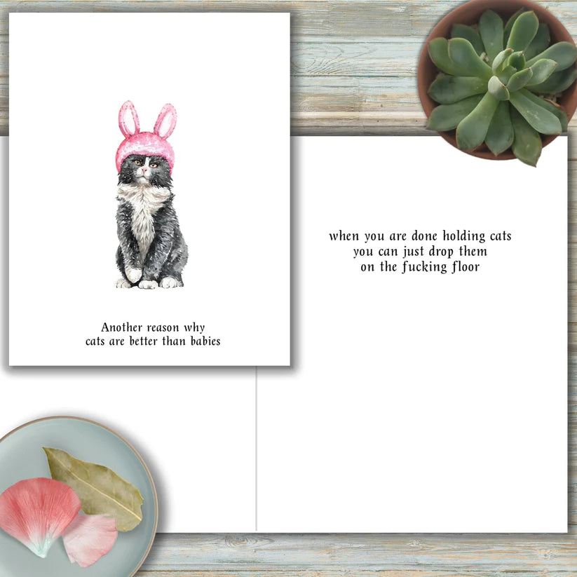 Chat bébé