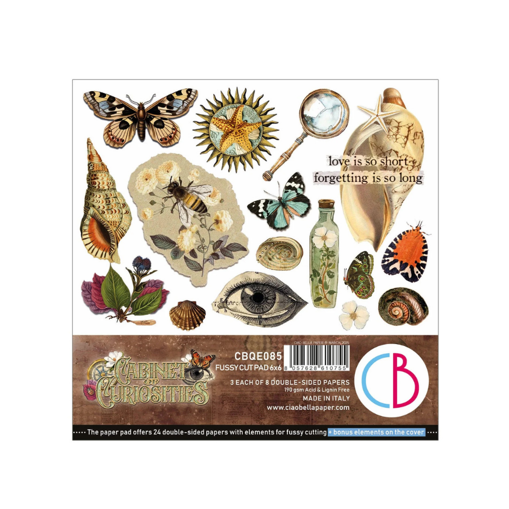 Cabinet Of Curiosities 6x6 Fussy Cut Pad