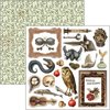 Cabinet Of Curiosities 6x6 Fussy Cut Pad