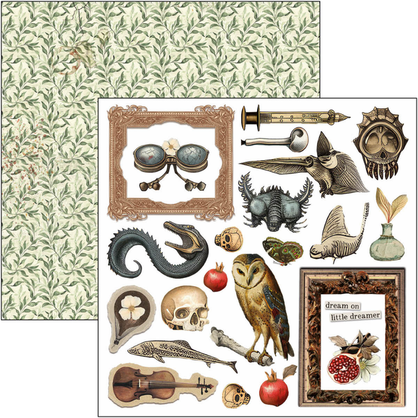 Cabinet Of Curiosities 6x6 Fussy Cut Pad