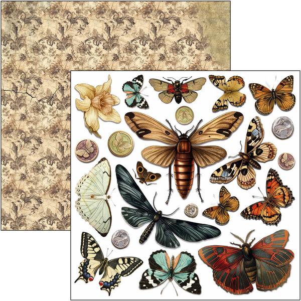 Cabinet Of Curiosities 6x6 Fussy Cut Pad