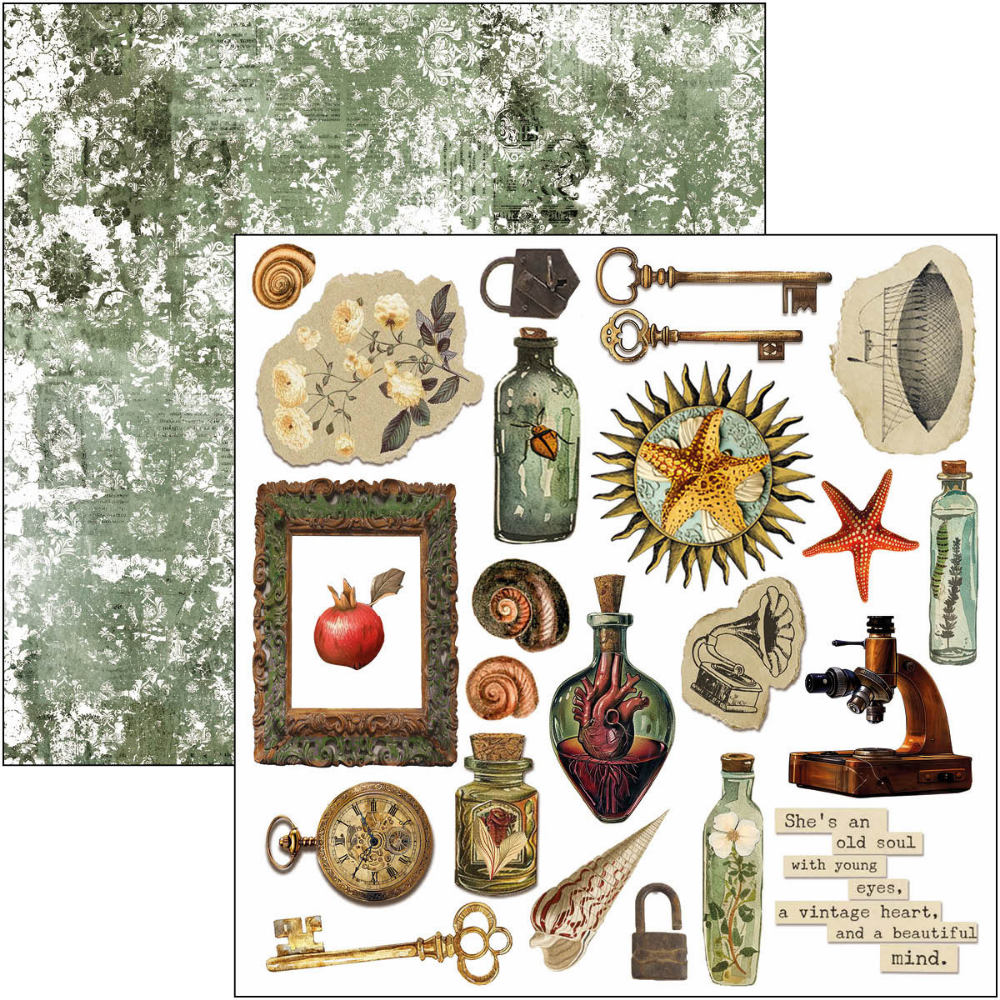 Cabinet Of Curiosities 6x6 Fussy Cut Pad