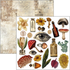 Cabinet Of Curiosities 6x6 Fussy Cut Pad