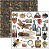 Cabinet Of Curiosities 6x6 Fussy Cut Pad
