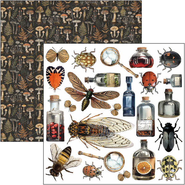 Cabinet Of Curiosities 6x6 Fussy Cut Pad