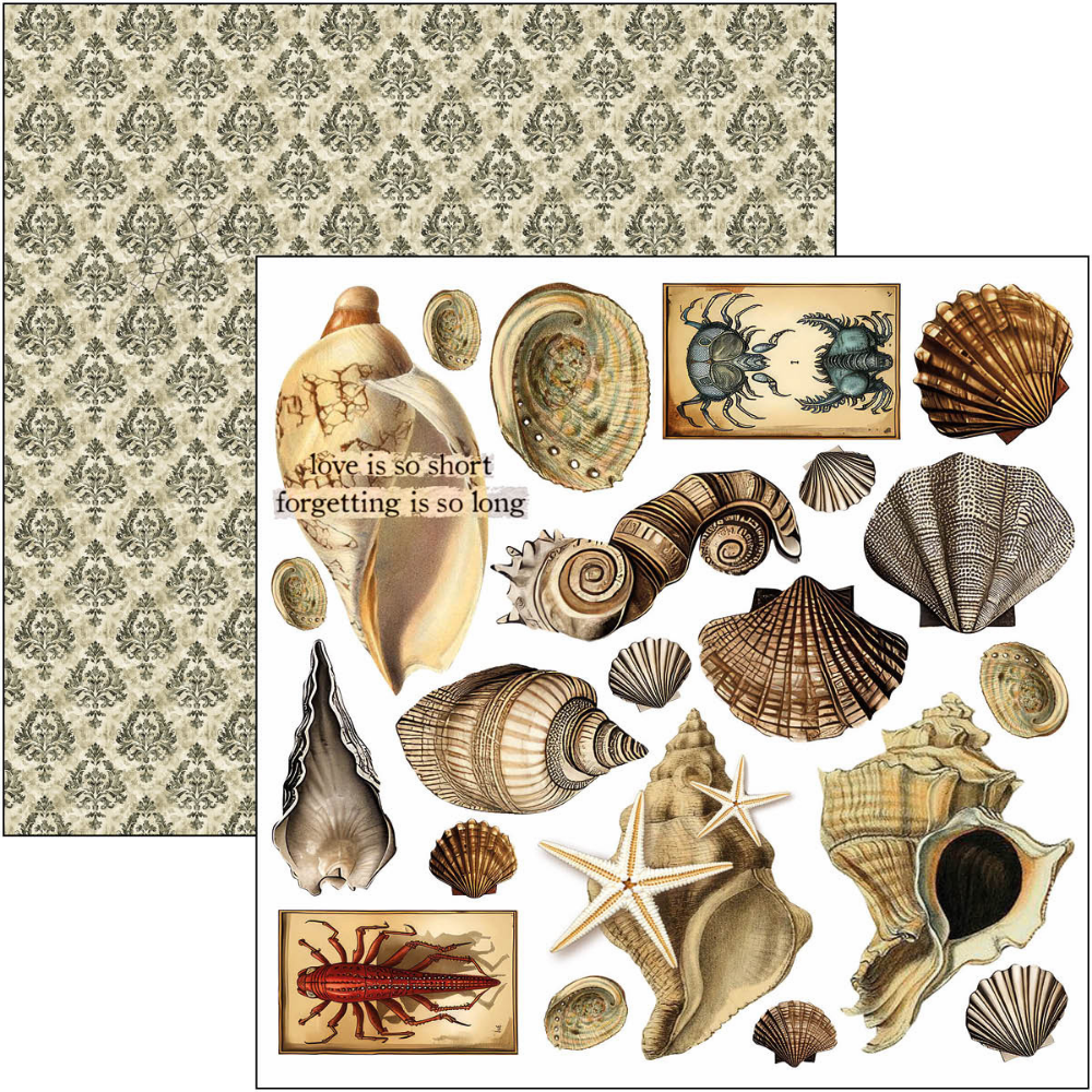 Cabinet Of Curiosities 6x6 Fussy Cut Pad