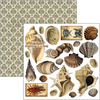 Cabinet Of Curiosities 6x6 Fussy Cut Pad