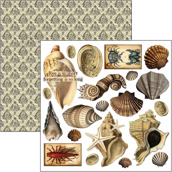Cabinet Of Curiosities 6x6 Fussy Cut Pad