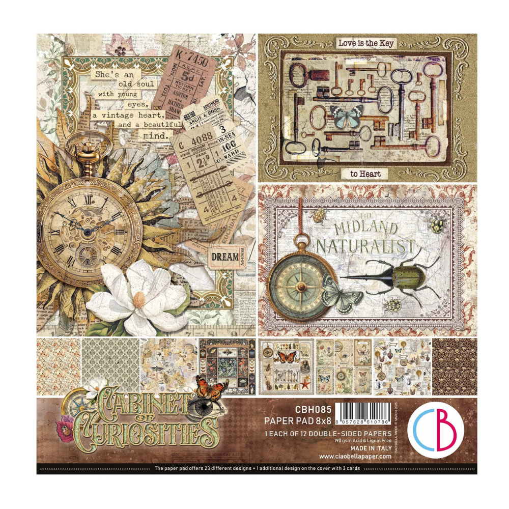 Cabinet Of Curiosities 8x8 Paper Pad