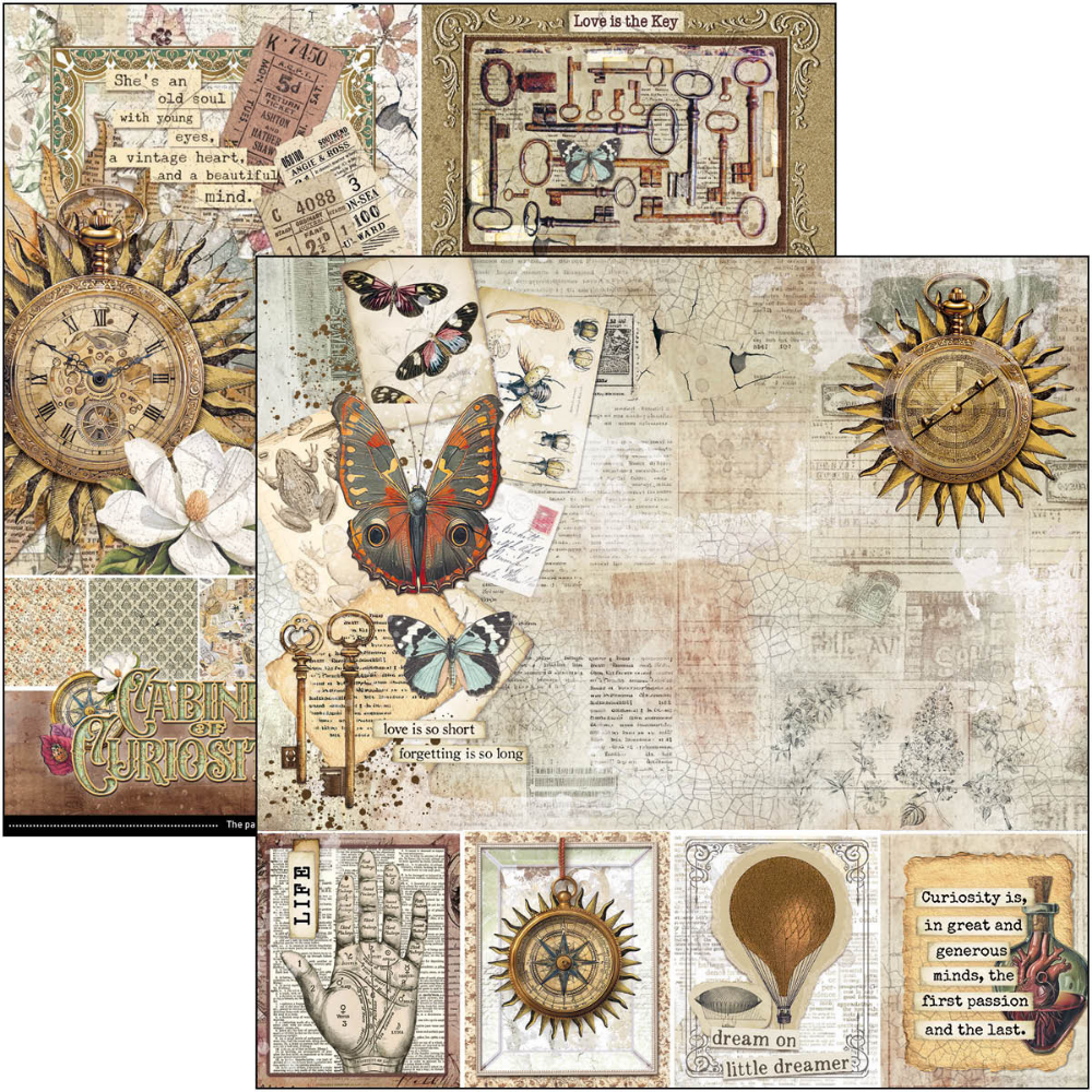 Cabinet Of Curiosities 8x8 Paper Pad