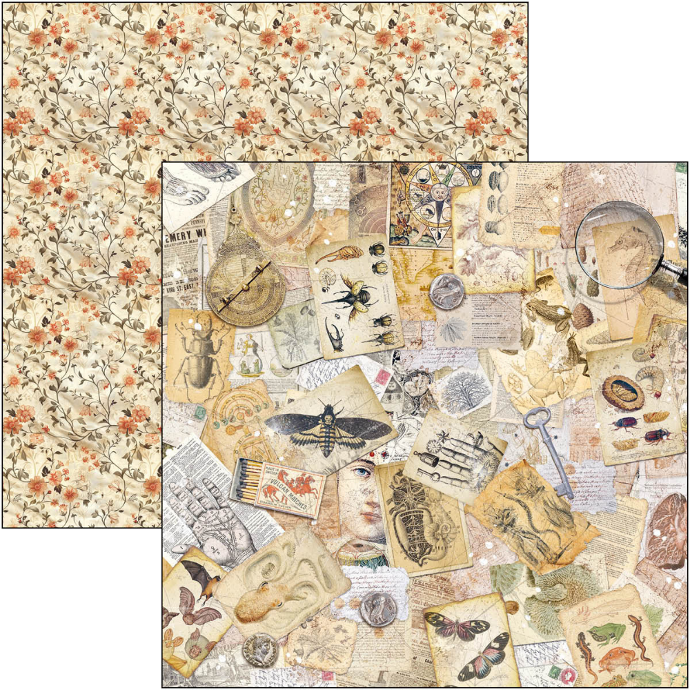 Cabinet Of Curiosities 8x8 Paper Pad
