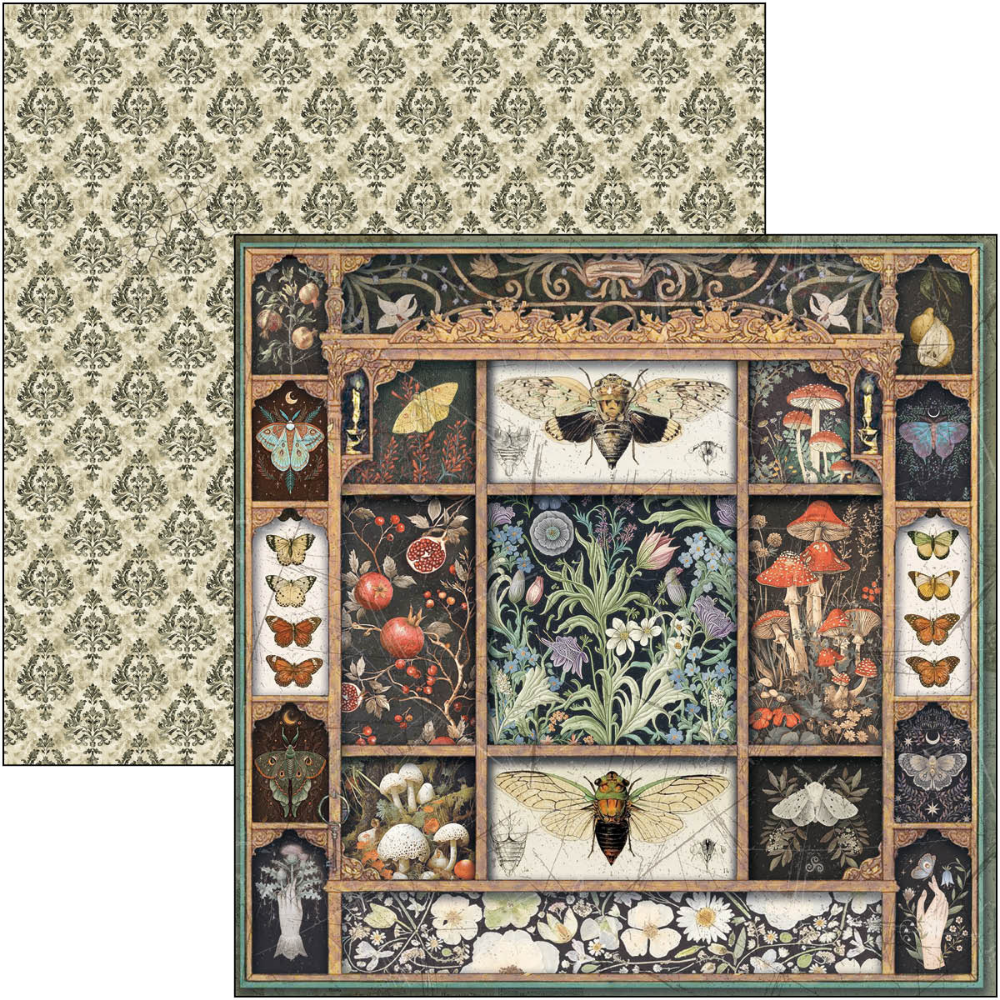 Cabinet Of Curiosities 8x8 Paper Pad
