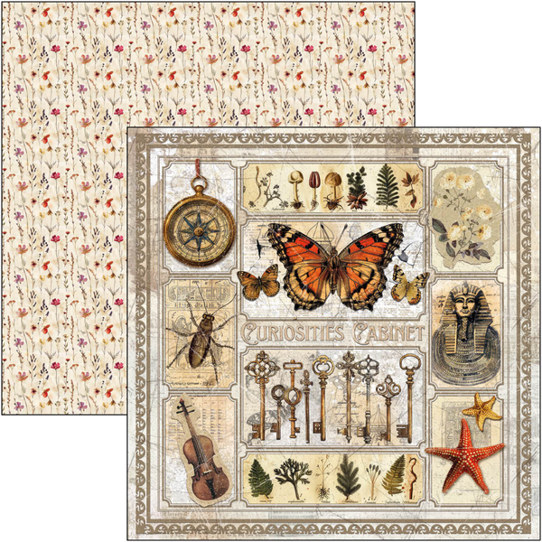 Cabinet Of Curiosities 8x8 Paper Pad