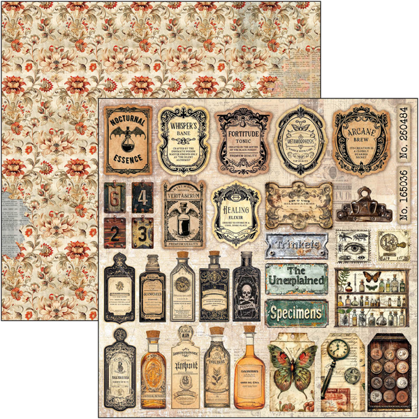 Cabinet Of Curiosities 8x8 Paper Pad
