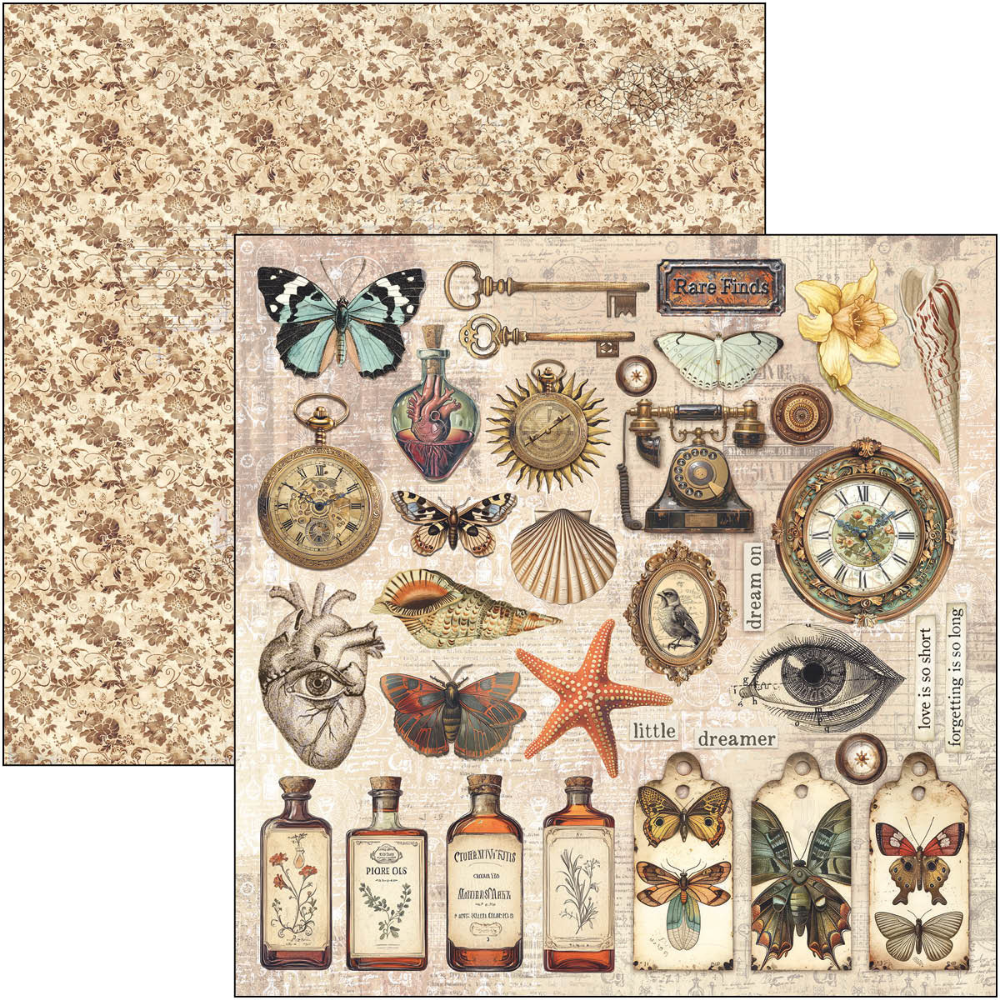Cabinet Of Curiosities 8x8 Paper Pad