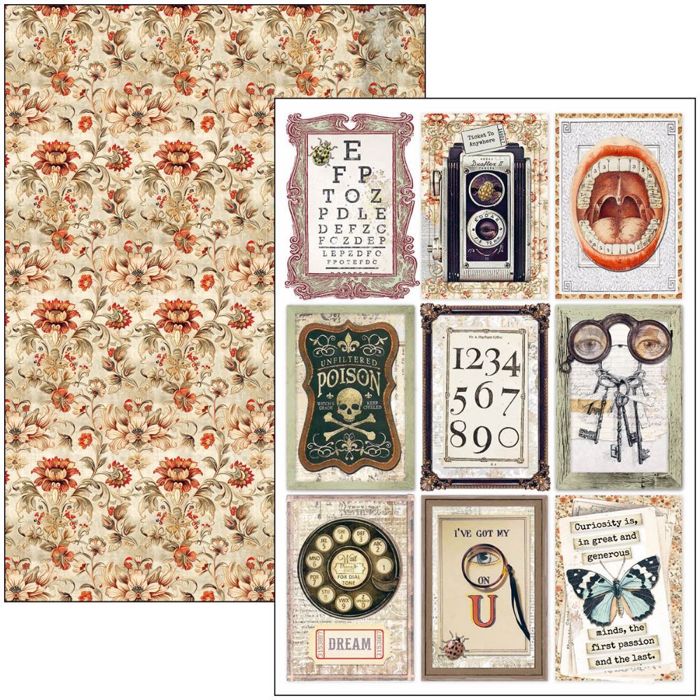 Cabinet Of Curiosities A4 Creative Pad
