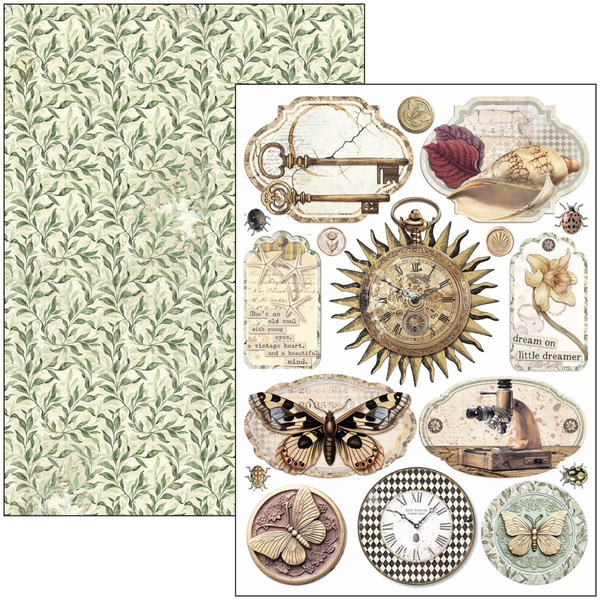 Cabinet Of Curiosities A4 Creative Pad