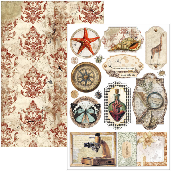 Cabinet Of Curiosities A4 Creative Pad