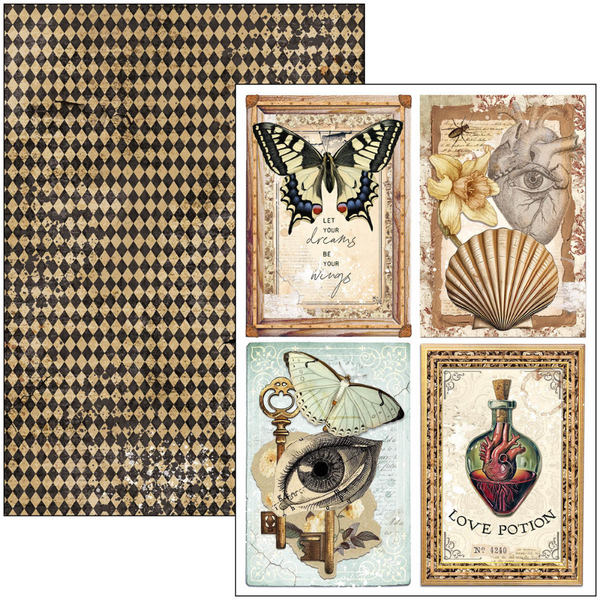 Cabinet Of Curiosities A4 Creative Pad