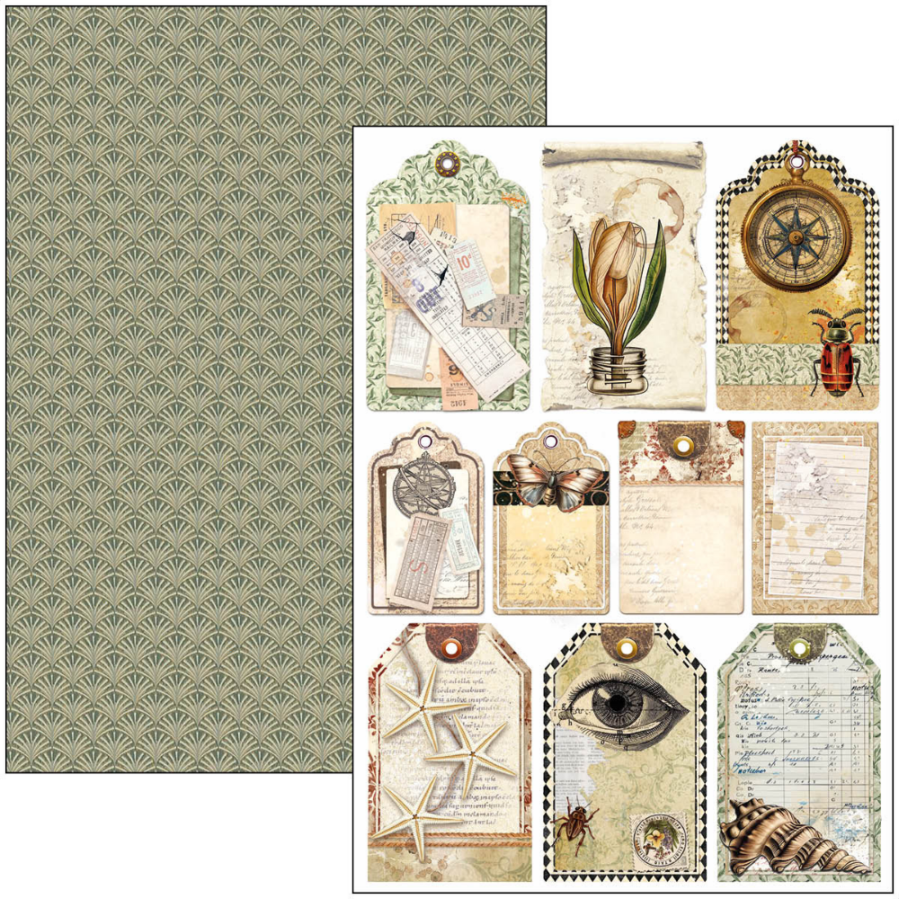 Cabinet Of Curiosities A4 Creative Pad