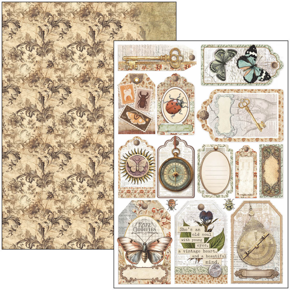 Cabinet Of Curiosities A4 Creative Pad