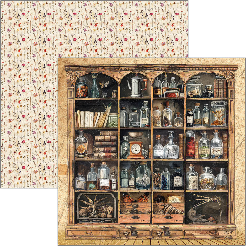 {back soon!} Cabinet Of Curiosities 12x12 Patterns Paper Pad