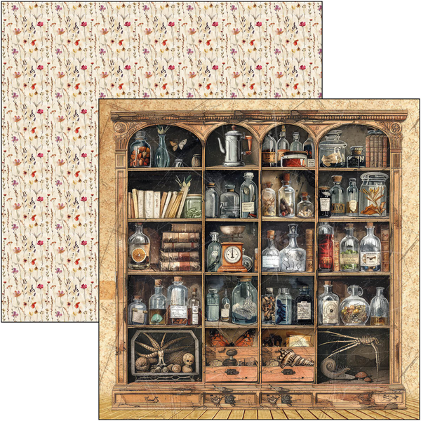 {back soon!} Cabinet Of Curiosities 12x12 Patterns Paper Pad