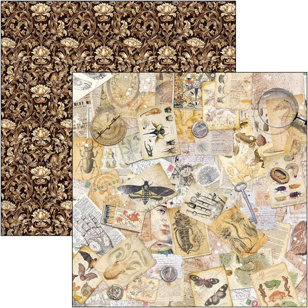 {back soon!} Cabinet Of Curiosities 12x12 Patterns Paper Pad