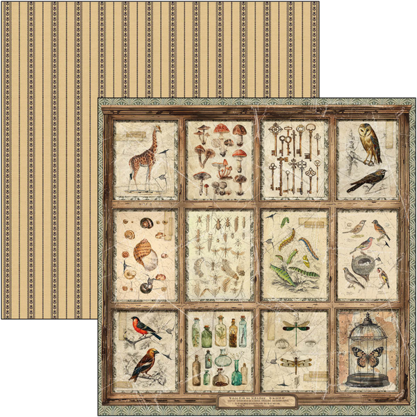 {back soon!} Cabinet Of Curiosities 12x12 Patterns Paper Pad
