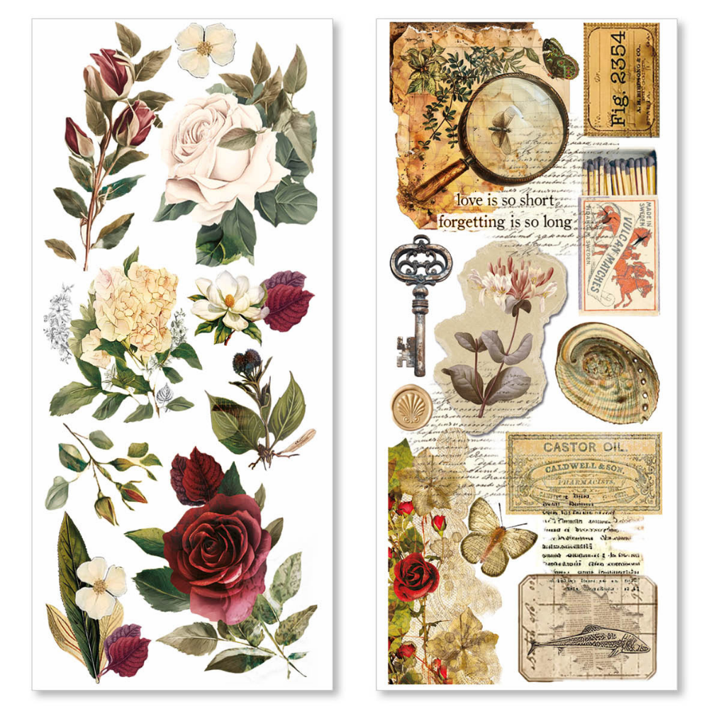 Cabinet Of Curiosities 5x10 Transparent Adhesive Sheets