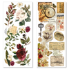 Cabinet Of Curiosities 5x10 Transparent Adhesive Sheets