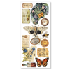 Cabinet Of Curiosities 5x10 Transparent Adhesive Sheets