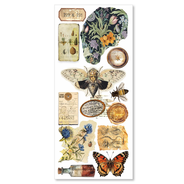 Cabinet Of Curiosities 5x10 Transparent Adhesive Sheets