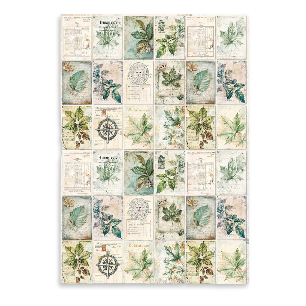 Cabinet Of Curiosities A4 Rice Paper Singles