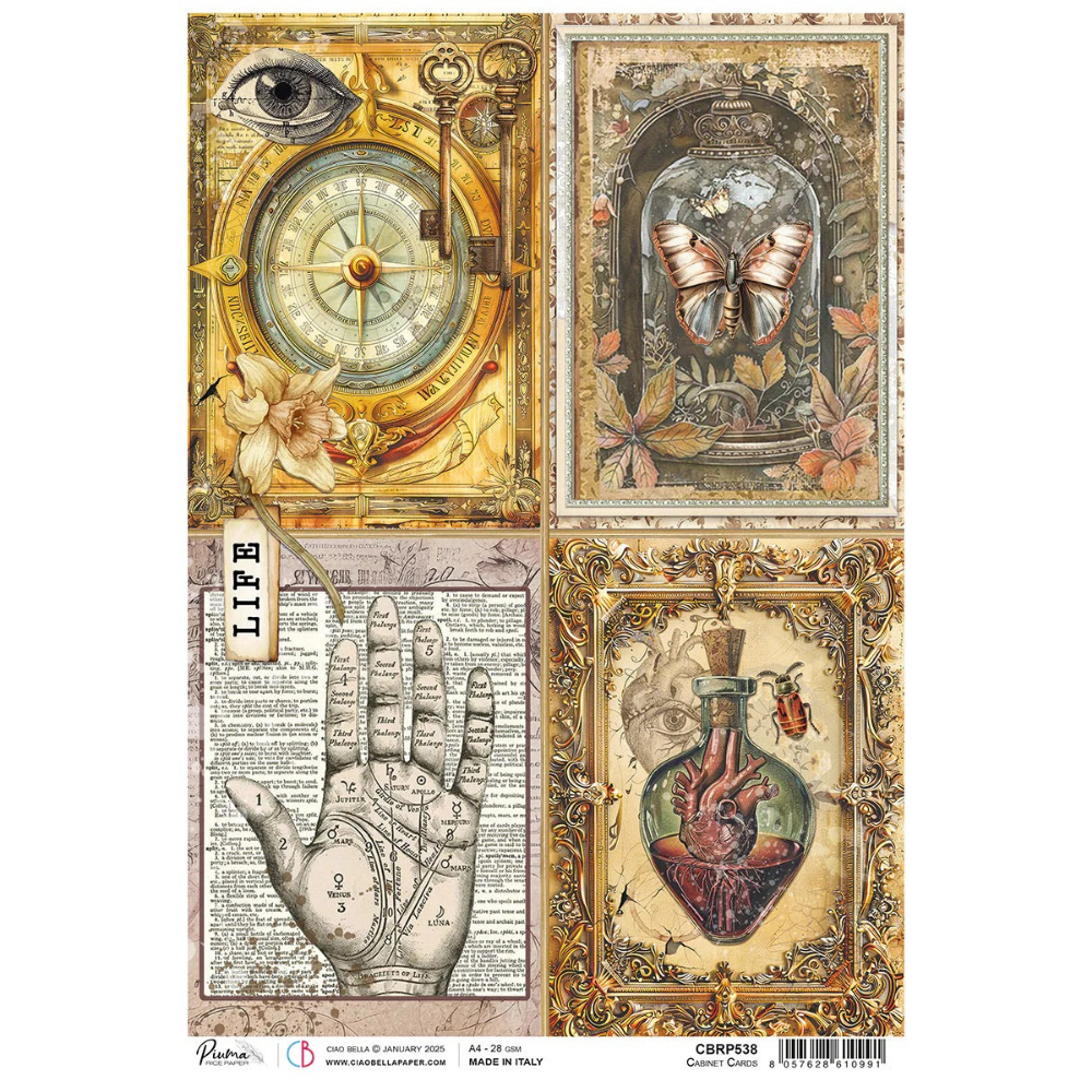 Cabinet Of Curiosities A4 Rice Paper Singles
