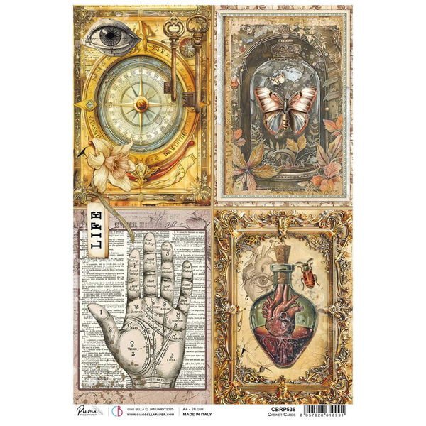 Cabinet Of Curiosities A4 Rice Paper Singles