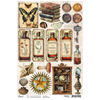 Cabinet Of Curiosities A4 Rice Paper Singles