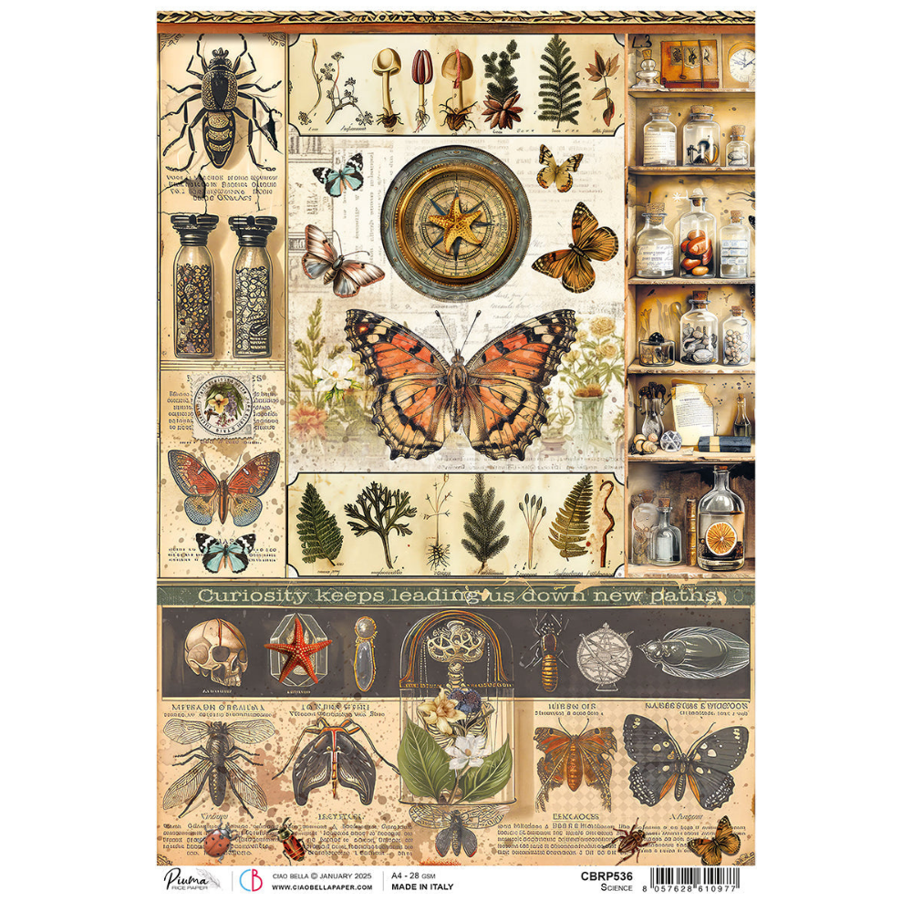 Cabinet Of Curiosities A4 Rice Paper Singles