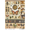 Cabinet Of Curiosities A4 Rice Paper Singles