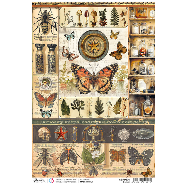 Cabinet Of Curiosities A4 Rice Paper Singles