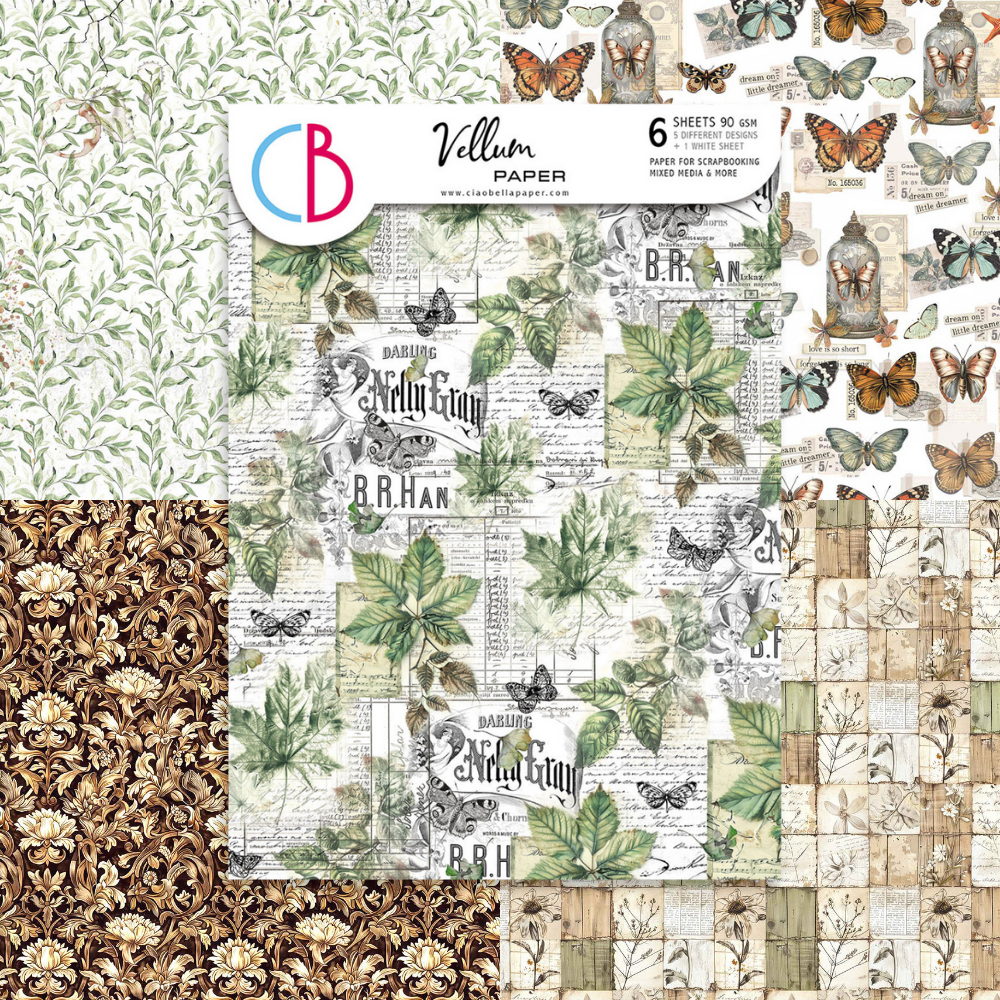 Cabinet Of Curiosities A4 Vellum Paper Pack