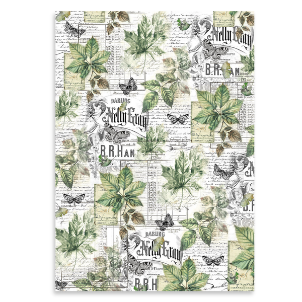 Cabinet Of Curiosities A4 Vellum Paper Pack