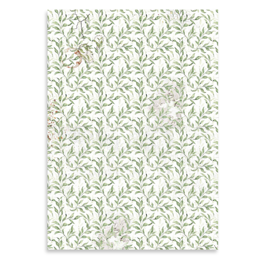 Cabinet Of Curiosities A4 Vellum Paper Pack