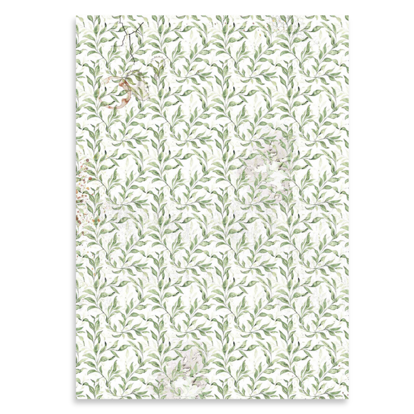 Cabinet Of Curiosities A4 Vellum Paper Pack